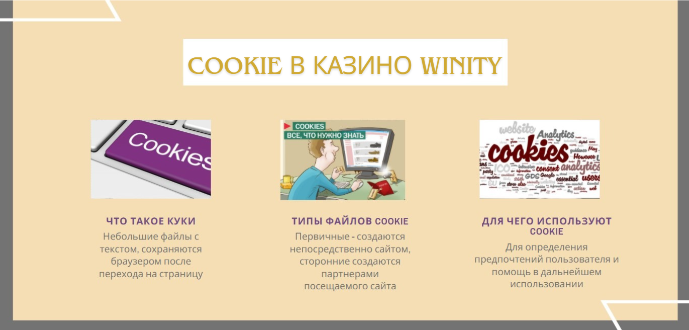 Winity Casino политика куки